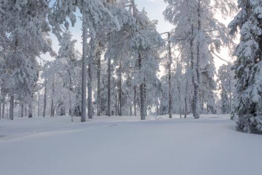 大雪纷飞伤感的短句