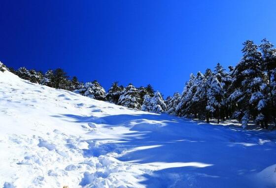 对雪景美的感悟的语句