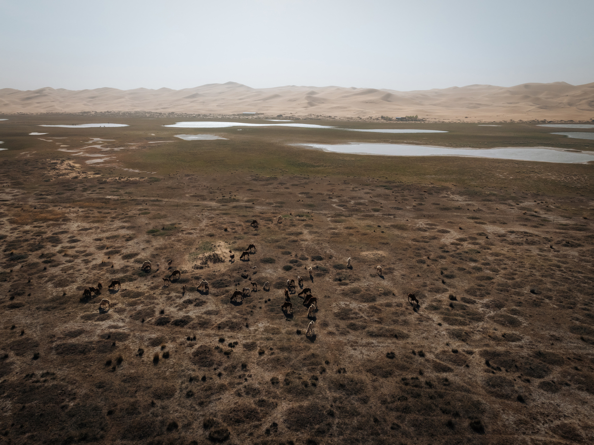 世界上含沙量最多的河