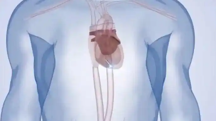 中国科学家新发明:心脏成“充电宝”